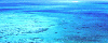 �_�C�r���O�T�|�[�g